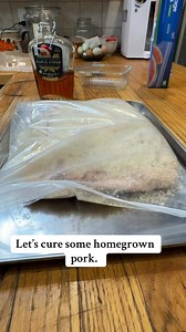 4.4K views · 49 reactions | Part 1 of curing our homegrown pork. I couldn’t sleep so why not cure bacon at 3:30 am. Once you’ve covered your pork belly you are going to refrigerate for 7-10 days, flipping them over everyday ensuring it stays covered in the mixture. When we come back we will rinse, pat dry, and then smoke. #homegrown #bacon #homestead #kitchen #recipe #pork #cure #salt #preserve #canningandpreserving #food #traditional #home #eatrealfood | The Heath Stead | Facebook