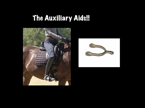 How to Properly use the Whip and Spur (The Auxiliary Aids)