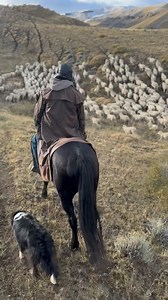 Out here in the countryside, every sunrise brings a new challenge, and every sunset rewards the grit we pour into the land. Ranch work isn’t just a job; it’s a way of life that calls for strength, resilience, and a whole lot of soul. From dawn to dusk, we ride, we mend, we care—because the land and livestock depend on us. This is where hard work meets heart, and we wouldn’t have it any other way. ———————————————————————— Aquí en el campo, cada amanecer trae un nuevo desafío, y cada atardecer rec