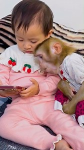 9K views · 227 reactions | Monkey Kaka saves the day by reminding Diem to put the phone away before mom comes! #Kakavideo | Kaka Video | Facebook