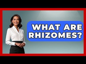 What Are Rhizomes? - The World of Agriculture