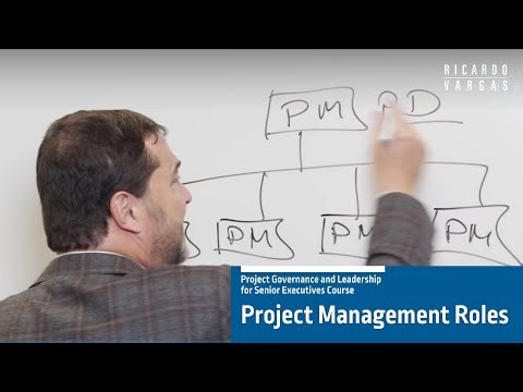 Project Leadership for Executives - 3.2 - Who is the Project Manager and Other Related Roles?