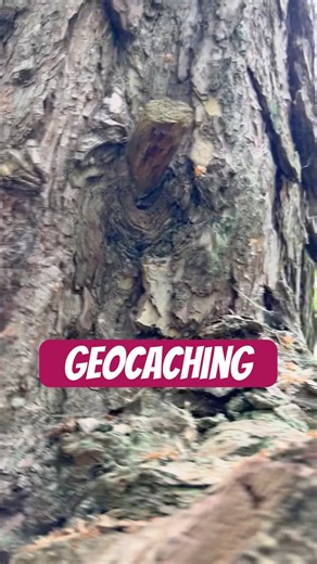 Geocaching auf Usedom und wir suchen gemeinsam den Cache mit dem Namen „Eva“. Seht ihr den Cache?