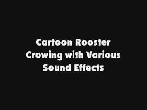 Cartoon Rooster Crowing with Various SFX