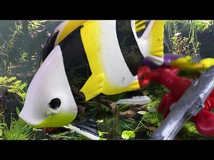 Findet Nemo 2.0 Darla – Playmobil