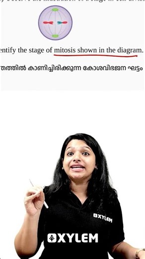 Identify The Stage of Mitosis in the Diagram !! | Xylem Class 8