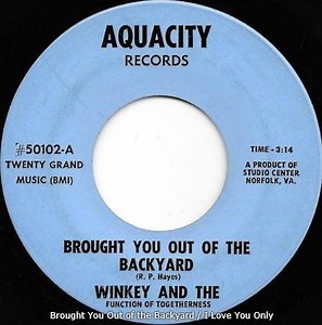 Winkey And The Function Of Togetherness - Brought You Out Of The Backyard