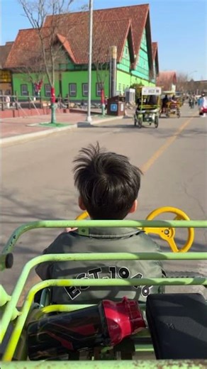 Anseong Farm Land прекрасное место развлечения для детей)