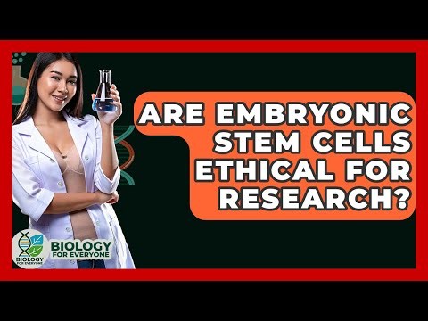 Are Embryonic Stem Cells Ethical For Research? - Biology For Everyone