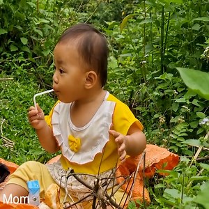 20K views · 311 reactions | Single Mom Picking wild vegetables with my daughter to sell at the market | Single Mother Harvesting | Facebook