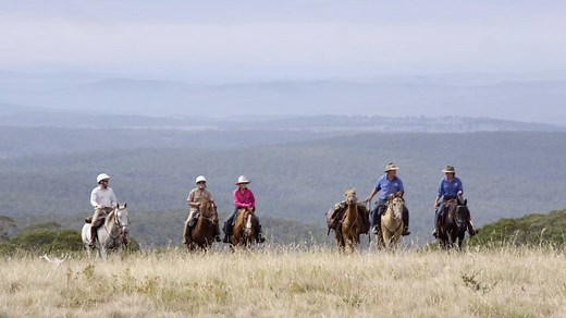 Discover the Australian high country on horseback. An unforgettable Snowy Mountains adventure. http://snowymountains.com.au/see-and-do/horse-riding | Snowy Mountains