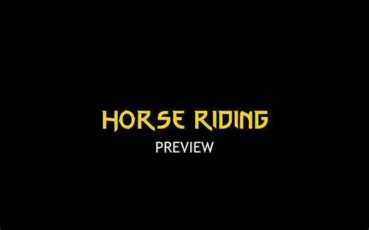 Horse Riding Systrem