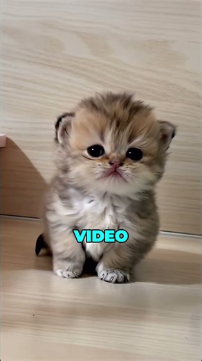 Could YOU Survive F1 Training? (The Brutal Reality of a Driver's Body) 🤯