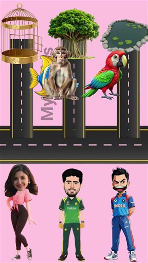 Right position Fish 🐠🐋🐟, Parrot 🦜, Monkey 🐒, Tools #short #funny #trending