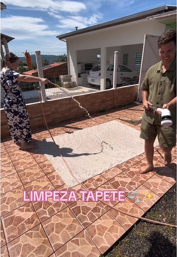 Limpeza do Tapete Peludo: Dicas e Truques Eficazes