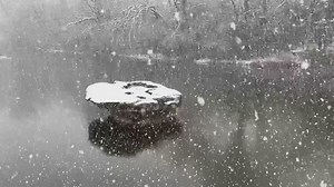 Amazingl!!! This quick video shows snow falling above the Round Rock along Brushy Creek! 📷: Living Waters Fly Fishing | Round Rock, Texas – City Government
