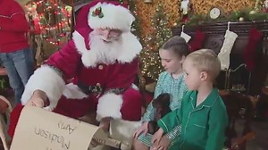 3 festive places to visit in Florida this Christmas that you won't want to miss