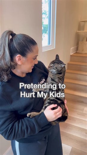 216K views · 3.6K reactions | Why are they all dramatic though | Dontstopmeowing | Facebook