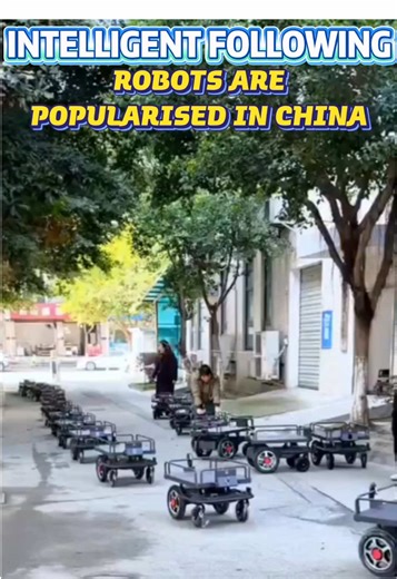 Intelligent Robots Trending in China