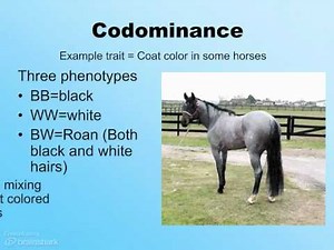 Beyond Mendelian Genetics