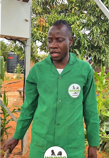 Chicken Space 2: New Agrovets Hiring at Guardian Angel Farm