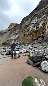 Here is a spherical rock that we found embedded within shale on a beach walk! We opened the nodule up with our geology hammer… The surrounding shale is softer than the nodule and is easily broken away. Inside the nodule, a beautiful Dactylioceras tenuicostatum ammonite from the Jurassic 😍🦑 These ammonites are around 180 Million Years Old 💀🏝 | Fossils Explorer