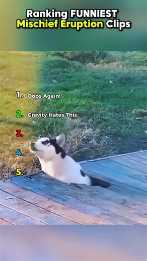 Ranking FUNNIEST Mischief Eruption Clips P.4 || #shorts #ranking #rankingshort #funnyshorts