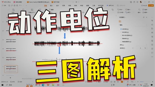NeuroExplorer（五）——spike提取基础概念/Instant Frequency/ISI versus Time