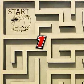 Ant Maze Challenge 🐜 | Can the Ants Find the Way out ?