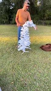 Our take on the DIY Grinch Tree! I’ve seen a few people making these and thought it was just too cute (and inexpensive!) not to try. What do you think? 💚🎄 Amazon link for stray paint: https://amzn.to/43h8U2B #diy #christmas #christmasdiy #doityourselfproject | Life with the Hearls