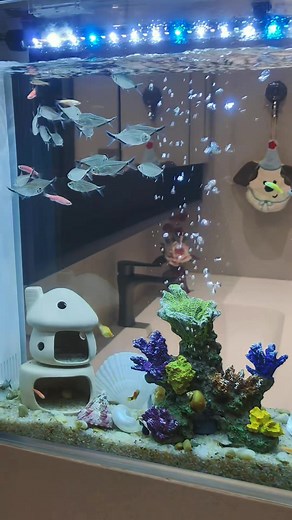 1.2K views | Fish Aquarium model design Home  decor Living room interior Trendy home decor  #reelsfbシ #fbreelsfypシ゚ #woodworking #homedecor #interiordesign #fishaquarium | Unique Decor Ideas | Facebook