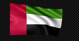 Uae Flag
