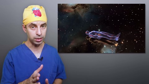 Where Does Life End and Death Begin?