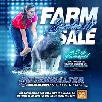 32 reactions | We are pumped about 2024!! Don’t miss our first sale...