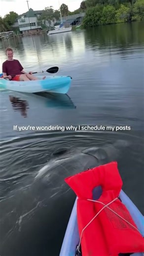 Monday morning kayak trip? Yes please!! #kayaking #manatee #florida