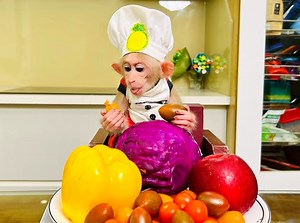 25K views · 1.9K reactions | Cute BiBi monkey patiently wait Dad go yo the market, The salad is absolutely so delicious | Monkey Show Daily | Facebook