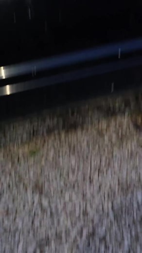 best way to fix a window motor on Christmas