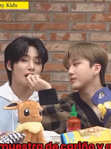 Stray Kids Fandom Ships & Affection