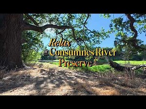 🌅 Sunset Serenity in 4K | Cosumnes River Preserve Walk + Relaxing Piano