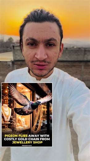 Costly Gold Chains in India: Information & Trends