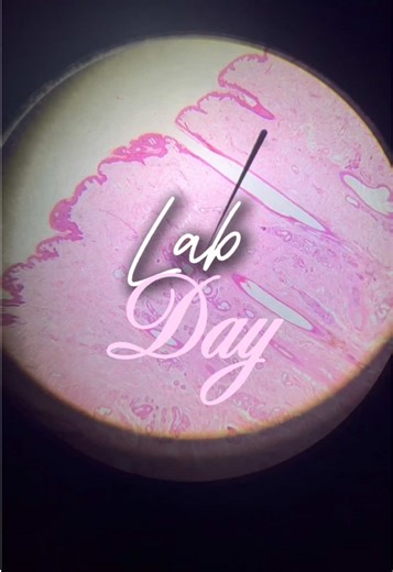 A Day in the Dental Lab: Exploring Odontology