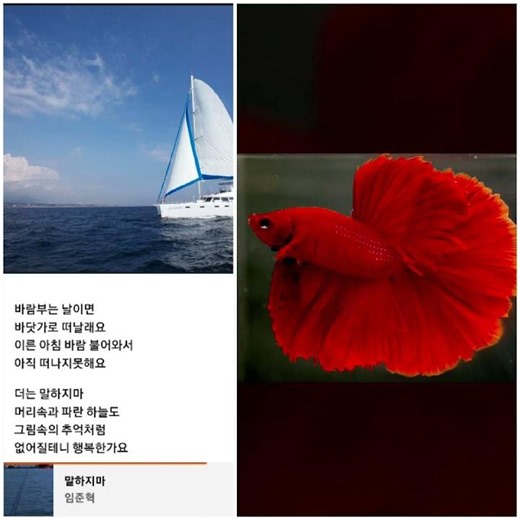 베타♡공부. 알바. 취미생활~ ♡ 형은 바쁘다 바뻐~