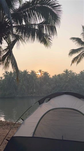 Simple & Cozy Tent Setup in Nature 🏕✨ | Outdoor Mood | #shorts