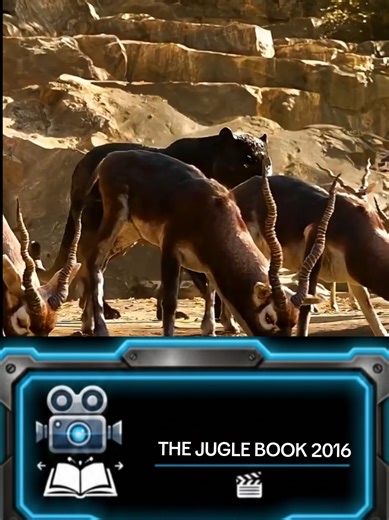 The Jungle Book (2016) Film Review