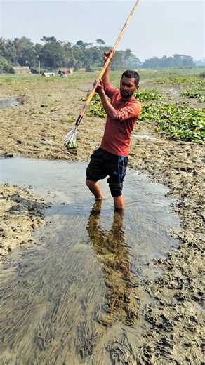 মাছ শিকার | BD River Fish