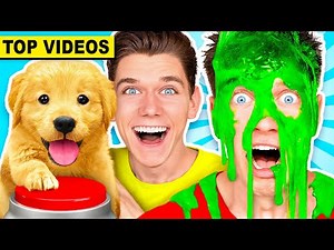 FUNNIEST Mystery Slime Challenges vs DOGS! Learn How To Make The Best DIY Orbeez Game | Collins Key