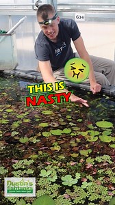 3.4K views · 35 reactions | This is NASTY 濫 but it WORKS like a CHARM...