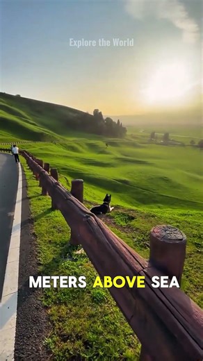 The Most Beautiful Grassland in the World! Nalati Xinjiang #youtubeshorts #travel #shortsvideo