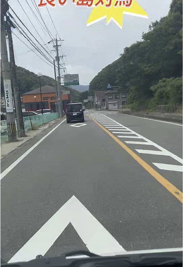 対馬グランドホテルの絶景と馬との交流