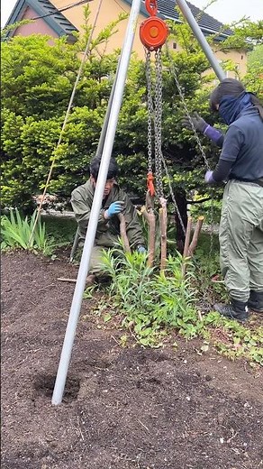 【木の抜根の方法】チェーンブロックで庭木を根ごと引き抜く Pull out tree roots with a chain block #shorts